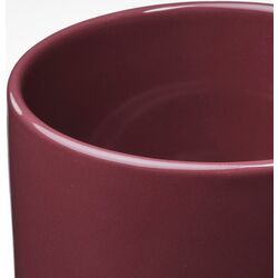 Ghiveci Ikea Drakfrukt 12cm (Maro-rosu) Thumb