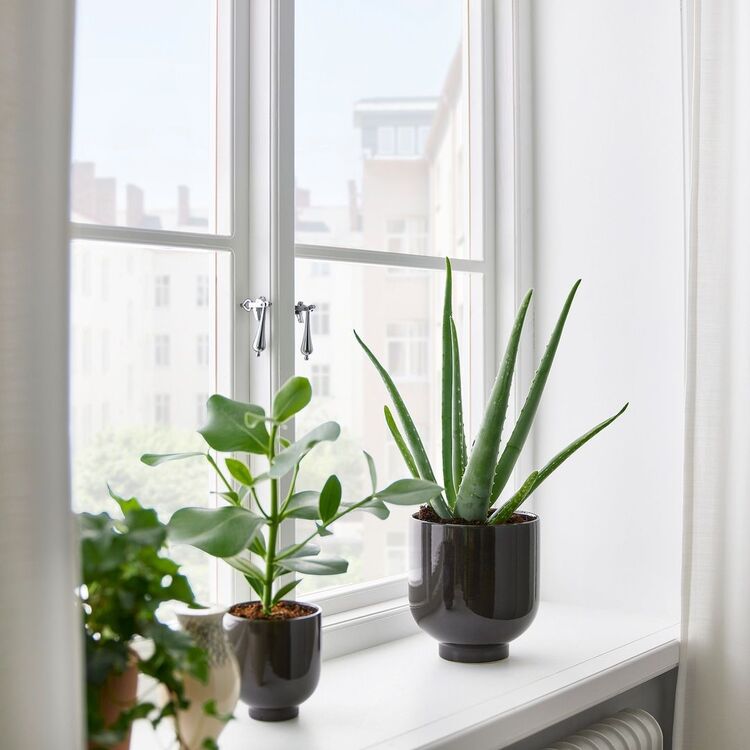 Горшок Ikea Dromsk 15cm (Антрацит)