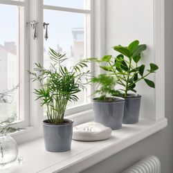 Ghiveci Ikea Fjarilsbuske 12cm (Gri) Thumb