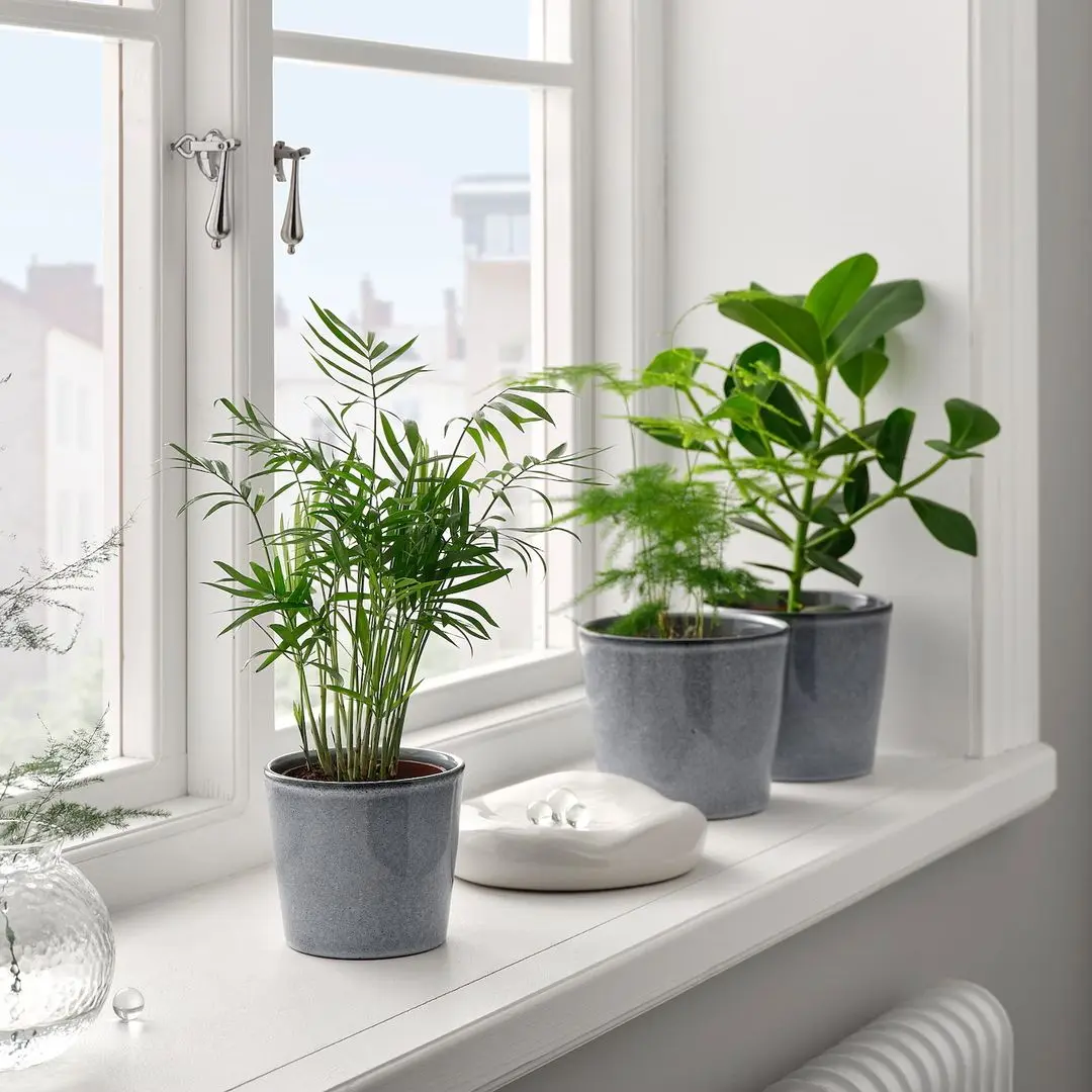 Ghiveci Ikea Fjarilsbuske 12cm (Gri)