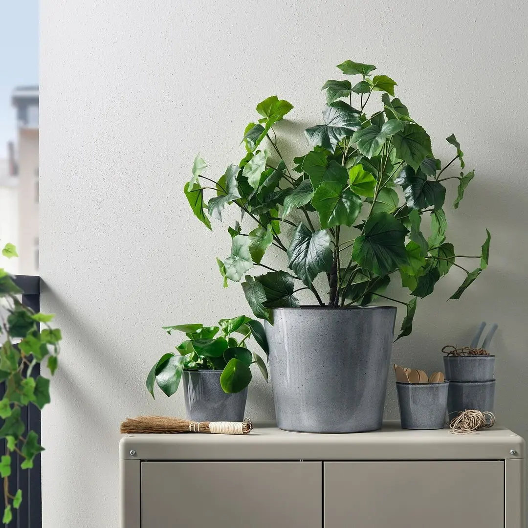 Ghiveci Ikea Fjarilsbuske 12cm (Gri)