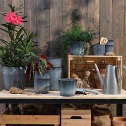 Ghiveci Ikea Fjarilsbuske 12cm (Albastru) Thumb