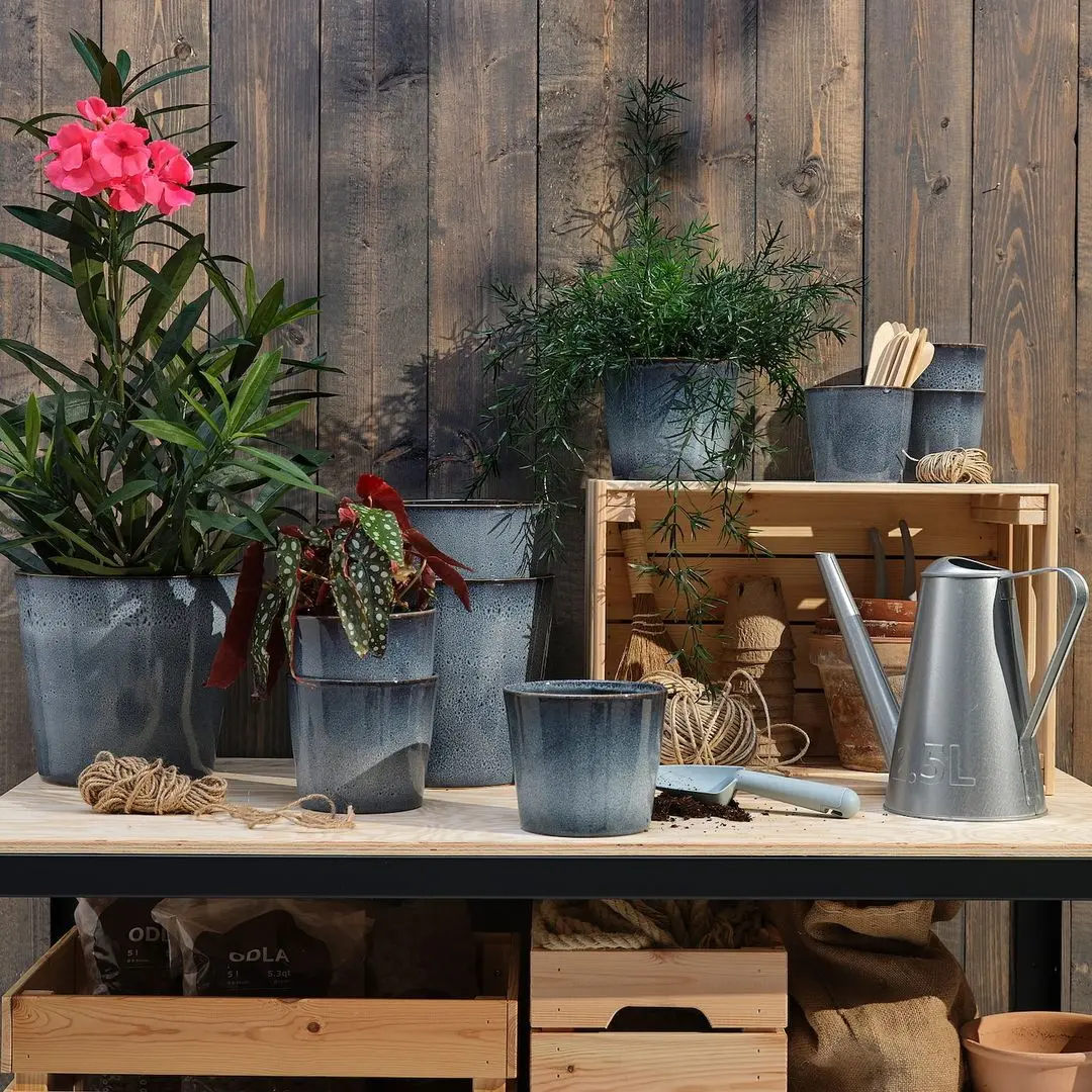 Ghiveci Ikea Fjarilsbuske 12cm (Albastru)