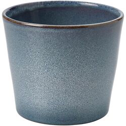 Ghiveci Ikea Fjarilsbuske 19cm (Albastru)