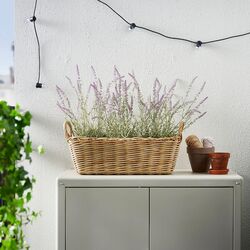 Ghiveci Ikea Flodbjork 54x21 (Gri-maro deschis) Thumb