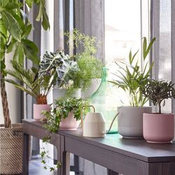 Горшок Ikea Gradvis 12см (Розовый) Thumb