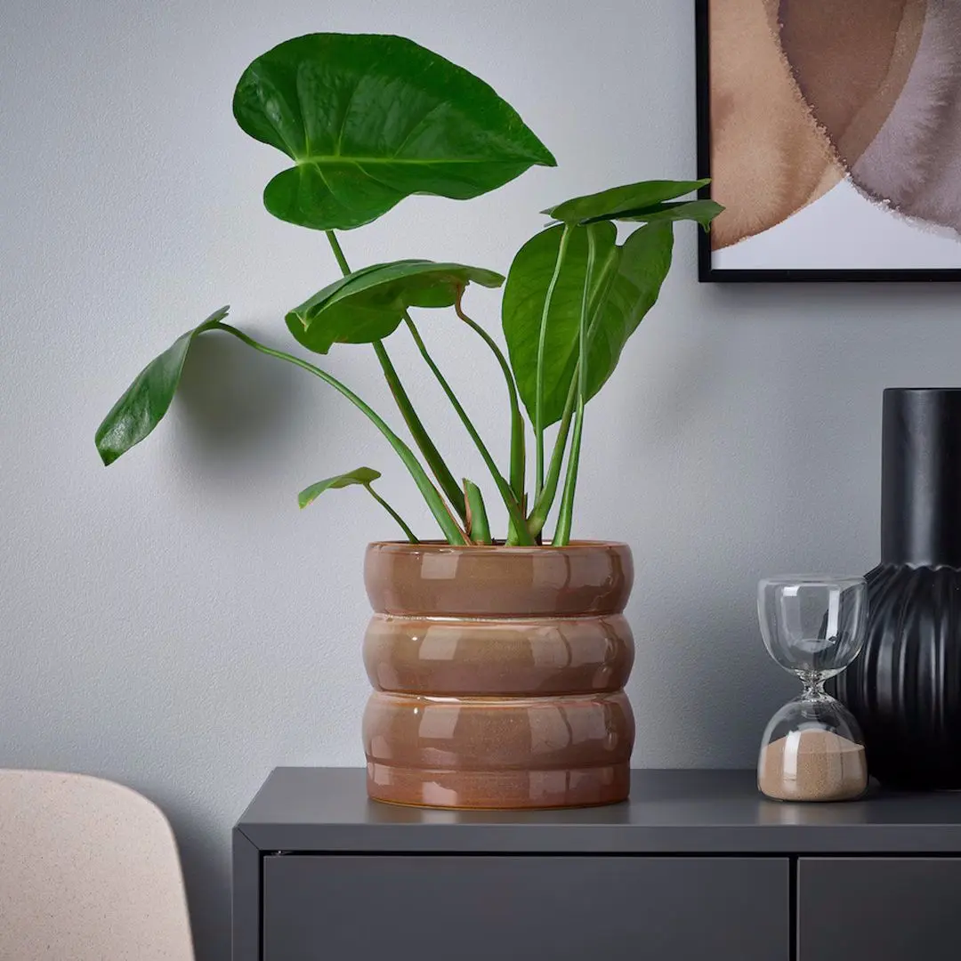 Ghiveci Ikea Hasselbukett interior/exterior 15cm (Verde/Maro)