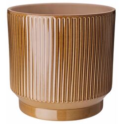 Ghiveci Ikea Honungspalm interior/exterior 19cm (Verde)