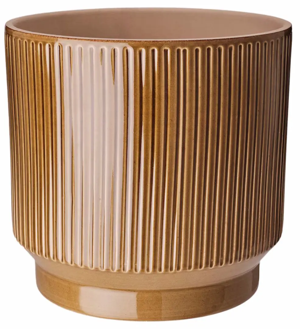 Ghiveci Ikea Honungspalm interior/exterior 19cm (Verde)