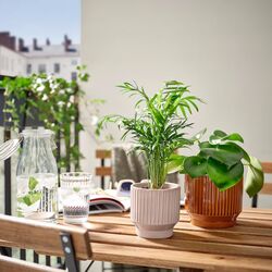 Горшок Ikea Honungspalm для дома/улицы 9cm (Бежевый) Thumb