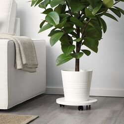 Ghiveci Ikea Muskot 19cm (Alb) Thumb