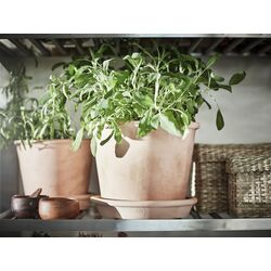 Горшок Ikea Muskotblomma для дома/улицы/с поддоном 12cm (Терракота) Thumb