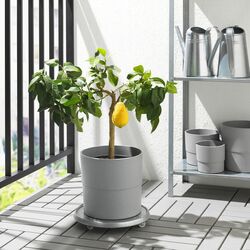 Ghiveci Ikea Nypon interior/exterior 24cm (Gri) Thumb