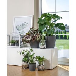 Горшок Ikea Persillade 19cm (Темно-серый) Thumb