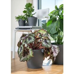 Горшок Ikea Persillade 19cm (Темно-серый) Thumb