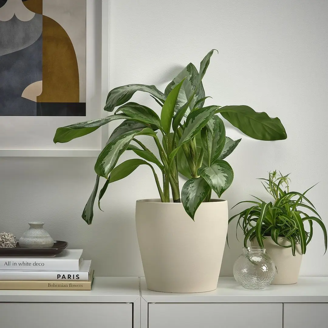 Ghiveci Ikea Persillade 19cm (Bej deschis)