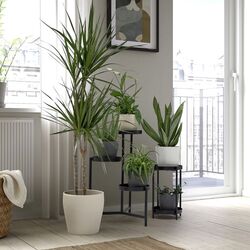 Ghiveci Ikea Persillade 19cm (Bej deschis) Thumb