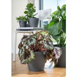 Ghiveci Ikea Persillade 24cm (Gri Inchis) Thumb