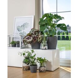 Ghiveci Ikea Persillade 24cm (Gri Inchis) Thumb