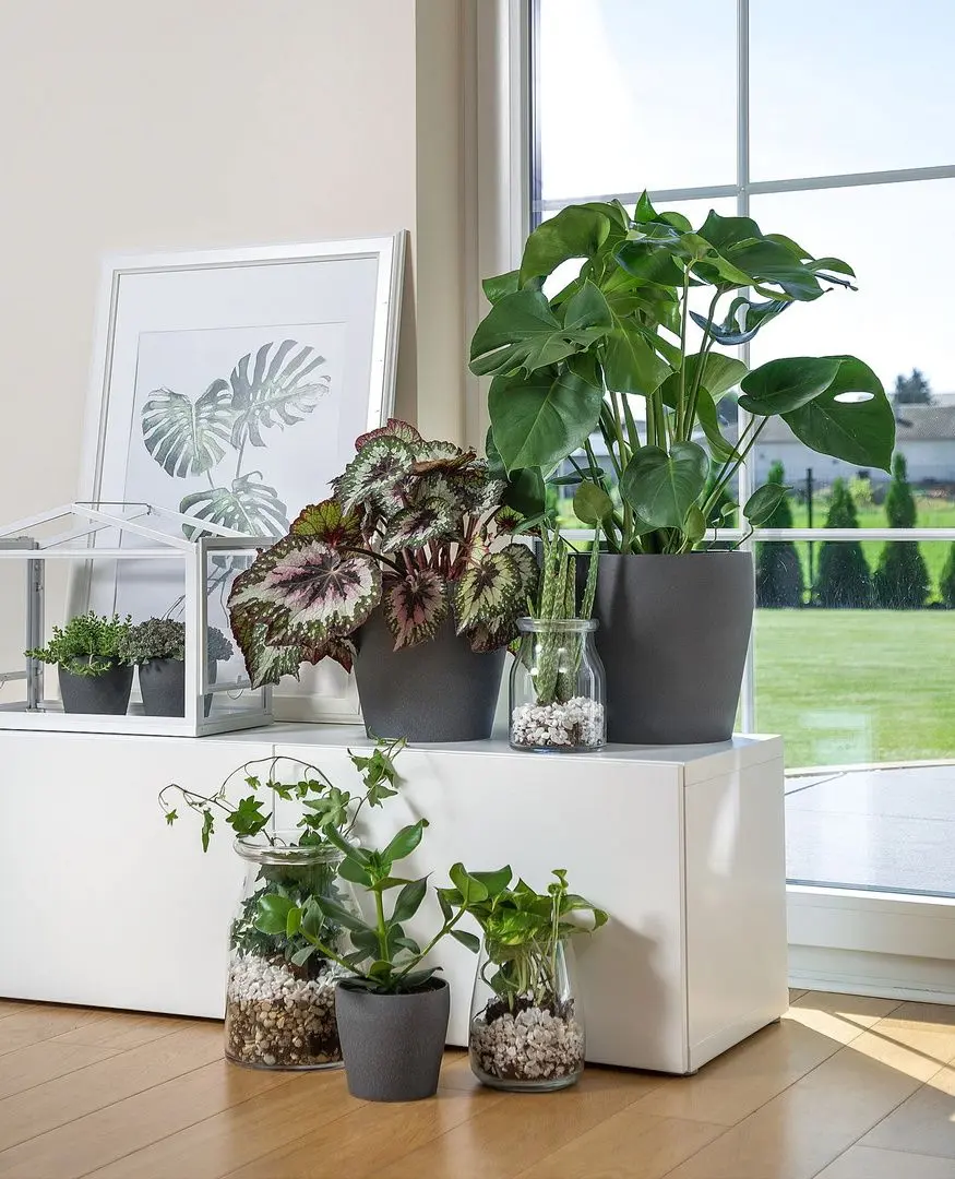 Ghiveci Ikea Persillade 24cm (Gri Inchis)