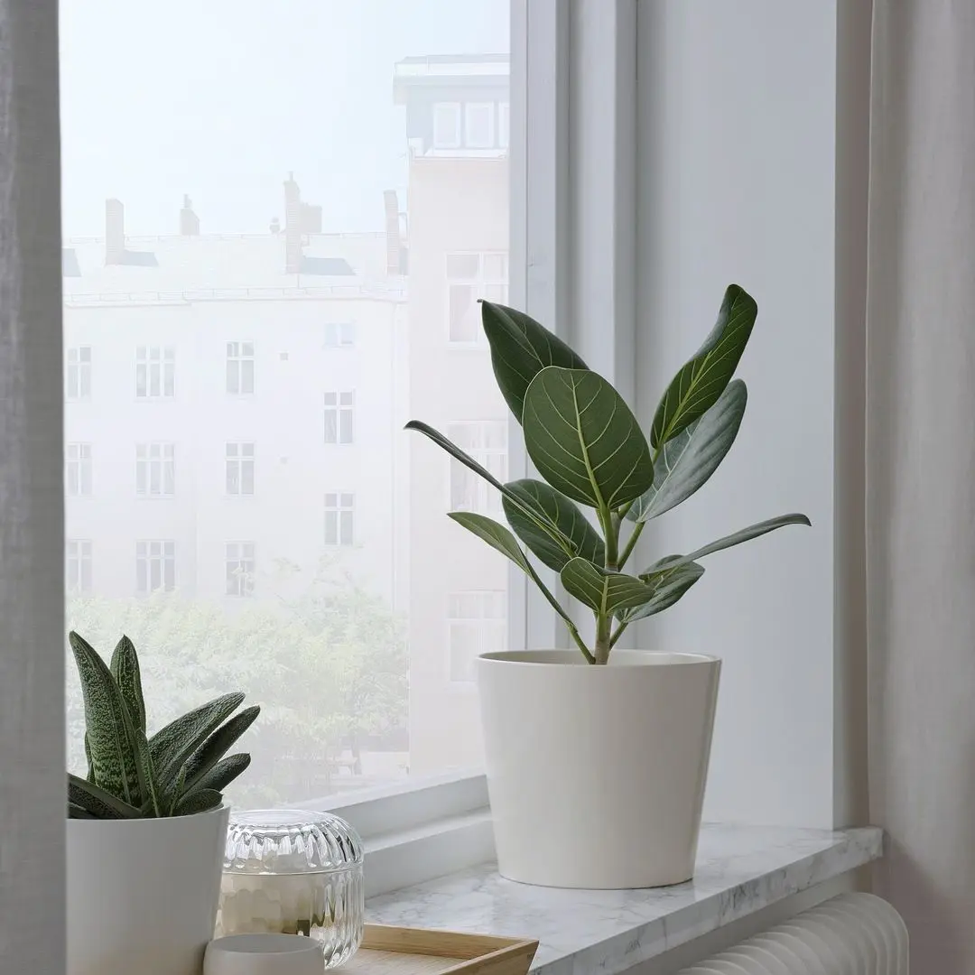 Горшок Ikea Sojabona 15cm (Белый)