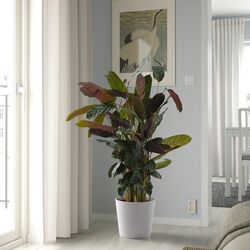 Горшок Ikea Sojabona 24cm (Белый) Thumb