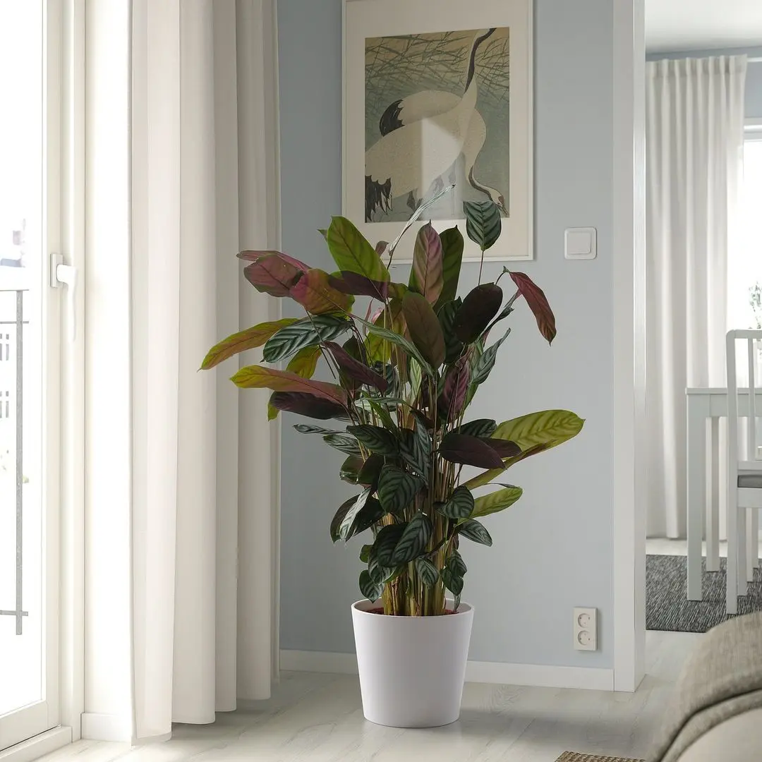 Горшок Ikea Sojabona 24cm (Белый)