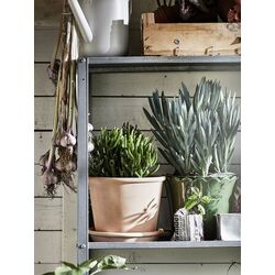 Ghiveci cu farfurie Ikea Muskotblomma interior/exterior 15cm (Teracota) Thumb