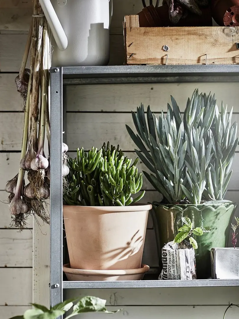 Ghiveci cu farfurie Ikea Muskotblomma interior/exterior 15cm (Teracota) - 5