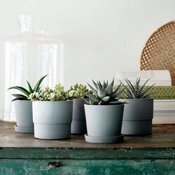 Ghiveci cu farfurie Ikea Smulgubbe exterior 9cm (Aspect Beton) Thumb