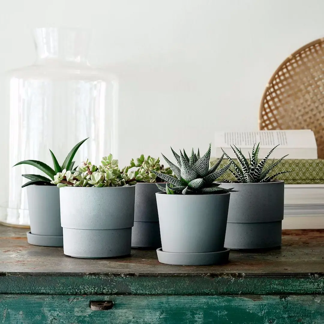 Ghiveci cu farfurie Ikea Smulgubbe exterior 9cm (Aspect Beton) - 4