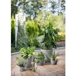 Ghiveci cu farfurie Ikea Smulgubbe exterior 9cm (Aspect Beton) Thumb