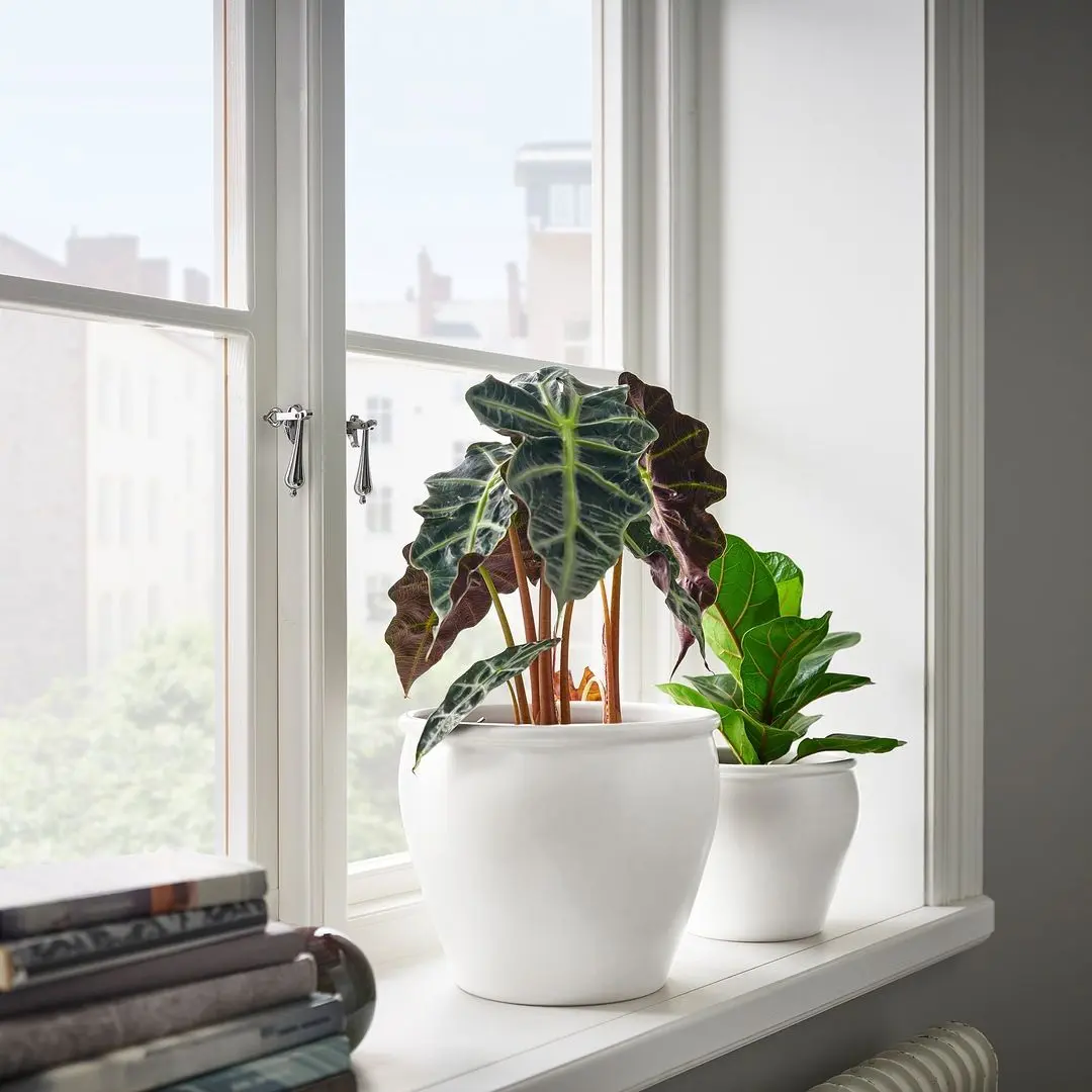 Ghiveci Ikea Ambraronn 15см (Alb)