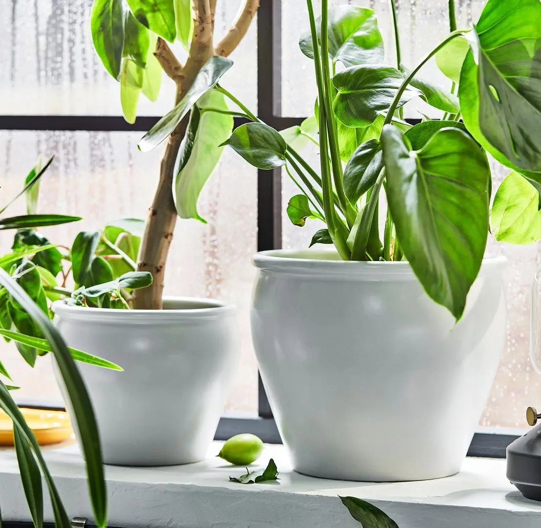 Ghiveci Ikea Ambraronn 15см (Alb)