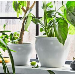 Ghiveci Ikea Ambraronn 19см (Alb) Thumb