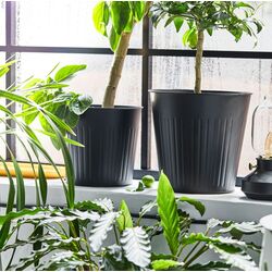 Ghiveci Ikea Citronmeliss 24cm (Antracit) Thumb