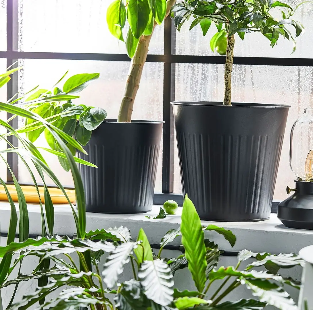 Ghiveci Ikea Citronmeliss 24cm (Antracit)