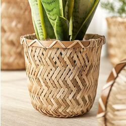 Ghiveci Ikea Klynnon 12cm (Bambus) Thumb