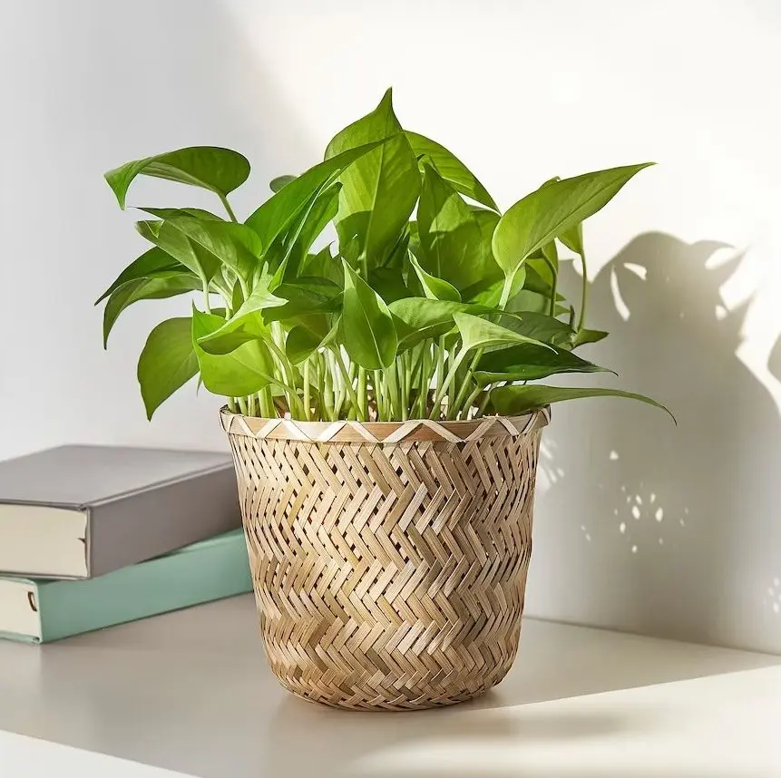 Кашпо Ikea Klynnon 15cm (Бамбук)