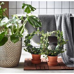 Ghiveci Ikea Ragkorn interior/exterior 24cm (Natur) Thumb