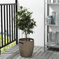 Ghiveci Ikea Ragkorn interior/exterior 24cm (Natur) Thumb