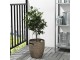 Ghiveci Ikea Ragkorn interior/exterior 24cm (Natur)