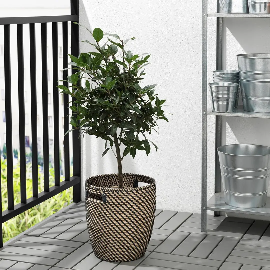 Ghiveci Ikea Ragkorn interior/exterior 24cm (Natur)