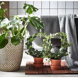 Ghiveci Ikea Ragkorn interior/exterior 32cm (Gri Inchis/Bej) Thumb