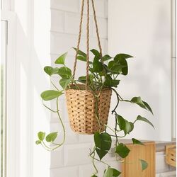 Ghiveci suspendat Ikea Fridfull 12cm (Natural) Thumb