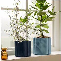 Набор цветочных горшков Ikea Daksjus (Синий) Thumb