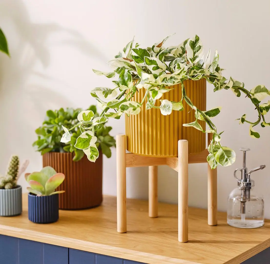 Набор цветочных горшков Ikea Daksjus (Желтый/Коричневый) - 3