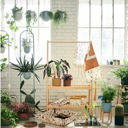 Стеллаж для цветов Ikea Daksjus 144cm (Бамбук) Thumb