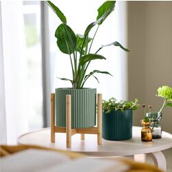 Suport pentru plante Ikea Daksjus 21cm (Bambus) Thumb