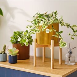 Suport pentru plante Ikea Daksjus 21cm (Bambus) Thumb